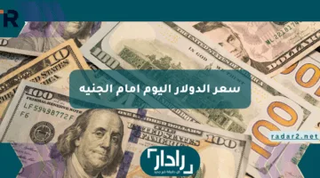 “هدوء مقلق” سعر الدولار اليوم أمام الجنيه الأحد 5 مايو بالسوق السوداء والبنوك